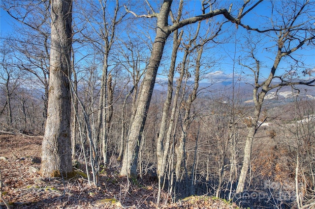 0 Arrowhead Ridge Rd, Spruce Pine, NC 28777