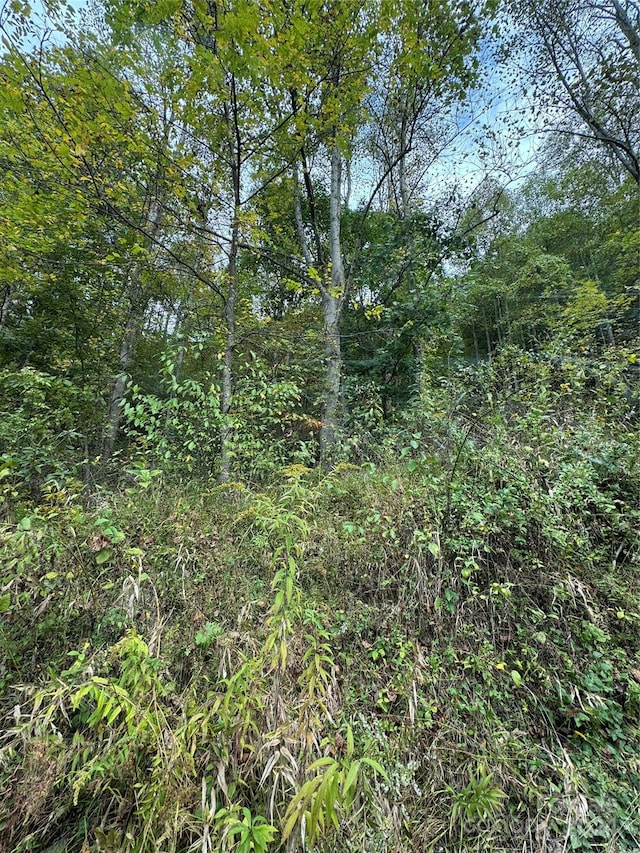 9999 W Rd, Hot Springs NC, 28743 land for sale