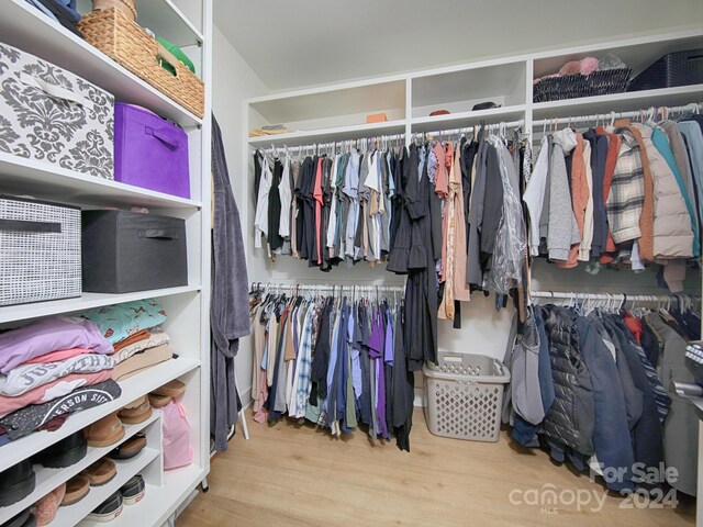 walk in closet featuring light wood-type flooring