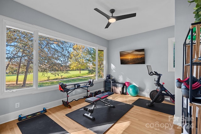 workout area featuring ceiling fan and wood-type flooring