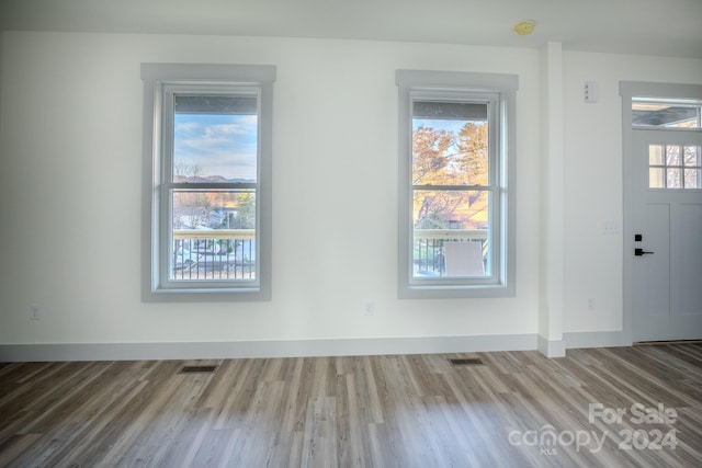 foyer with wood-type flooring and a wealth of natural light