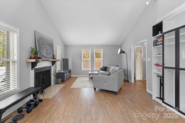 living room featuring high vaulted ceiling and light hardwood / wood-style floors