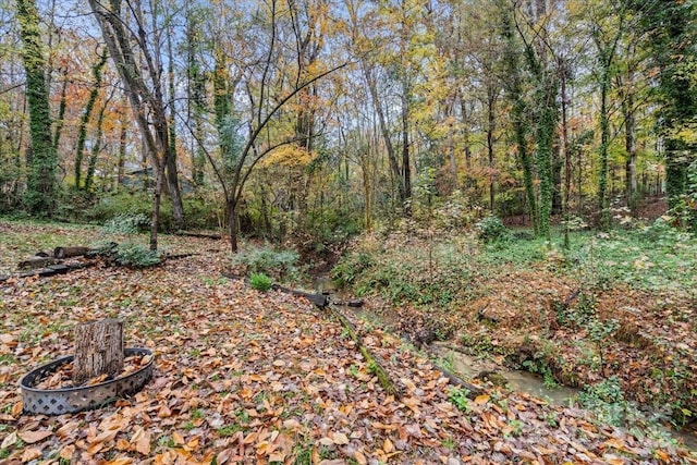 view of local wilderness