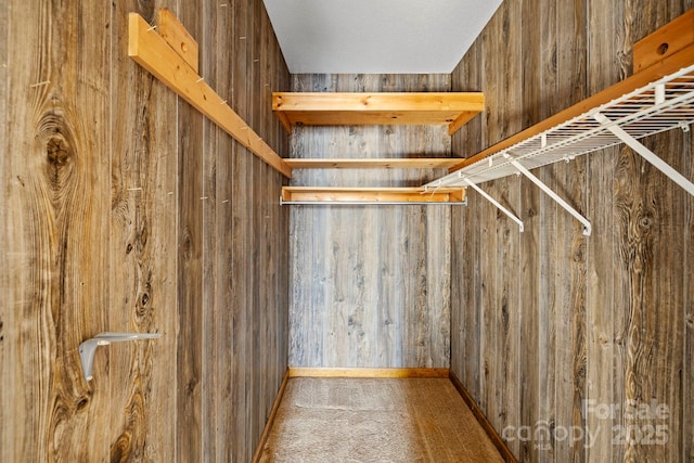 spacious closet with light colored carpet