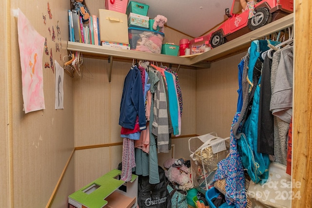 view of walk in closet