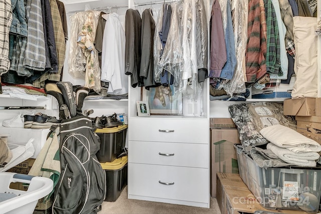 spacious closet with light carpet