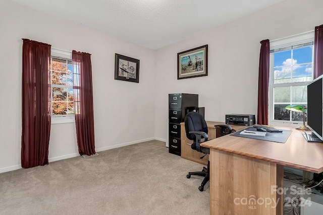 carpeted office space with a textured ceiling