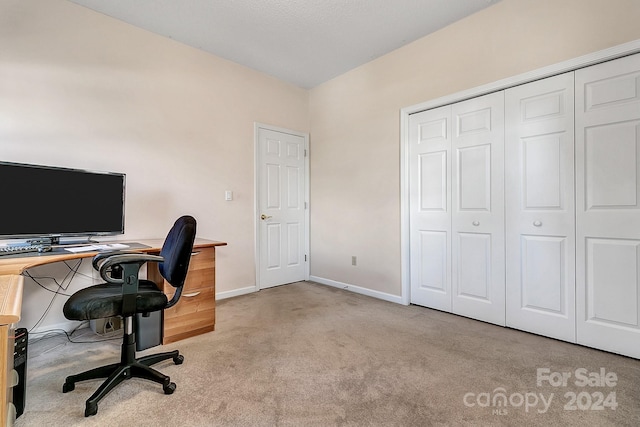 office featuring light colored carpet