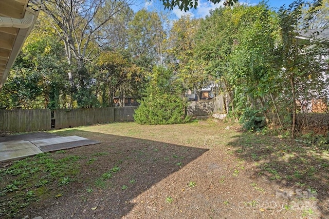 view of yard featuring a patio