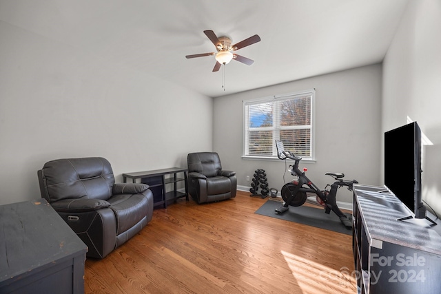 workout room with hardwood / wood-style flooring and ceiling fan