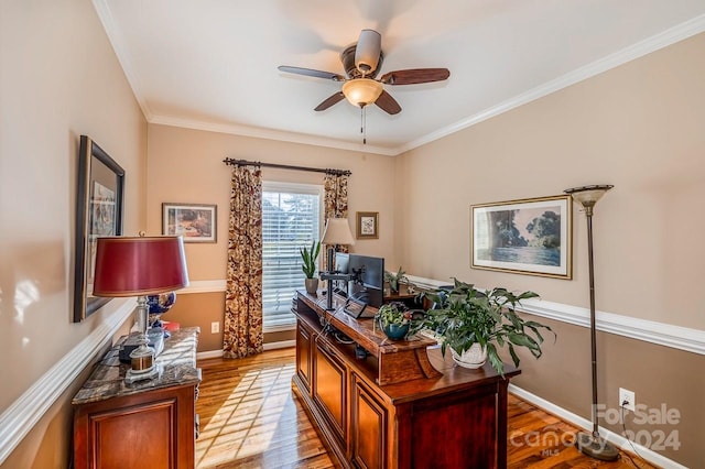 office with ceiling fan, wood-type flooring, and ornamental molding