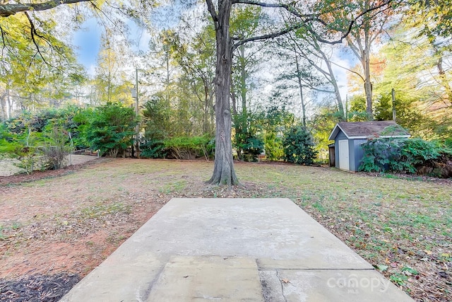 view of yard with a patio and a storage shed