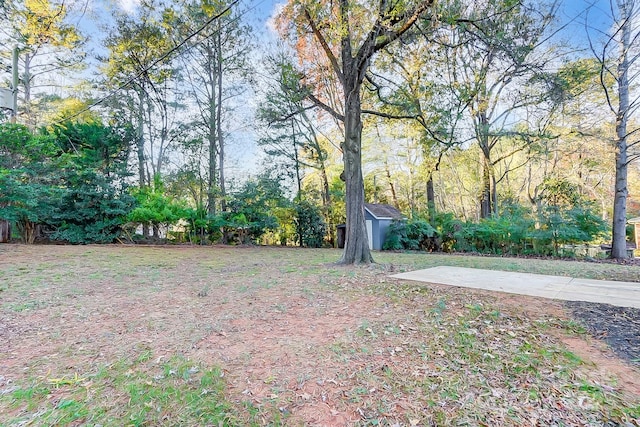 view of yard featuring a patio