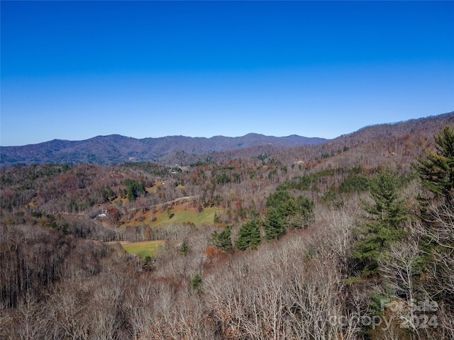 0 Rules Run Rd, Clyde NC, 28721 land for sale