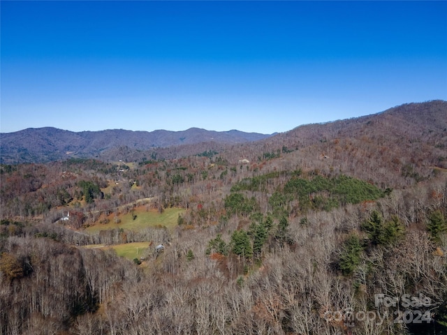 Listing photo 3 for 0 Rules Run Rd, Clyde NC 28721