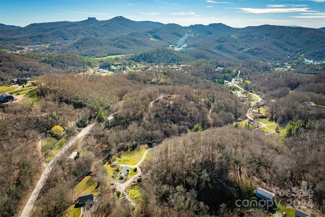 bird's eye view with a mountain view