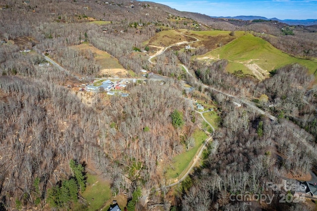 birds eye view of property featuring a mountain view