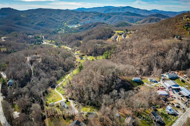 birds eye view of property with a mountain view