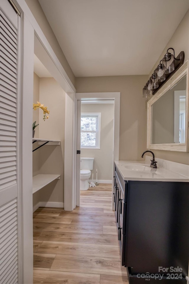 bathroom with vanity, wood-type flooring, and toilet