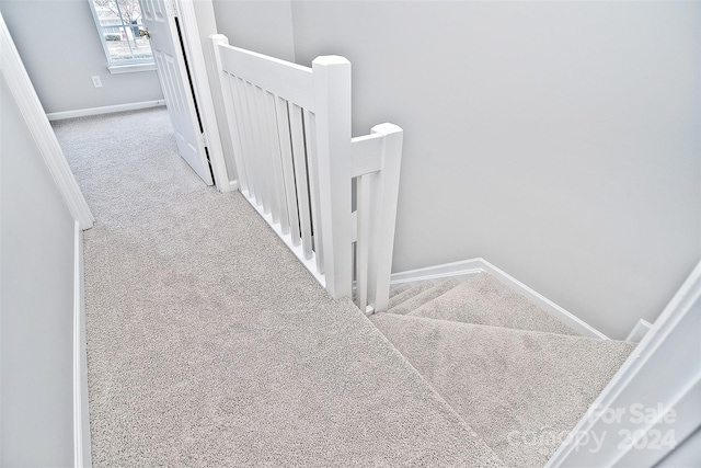 stairs with carpet floors