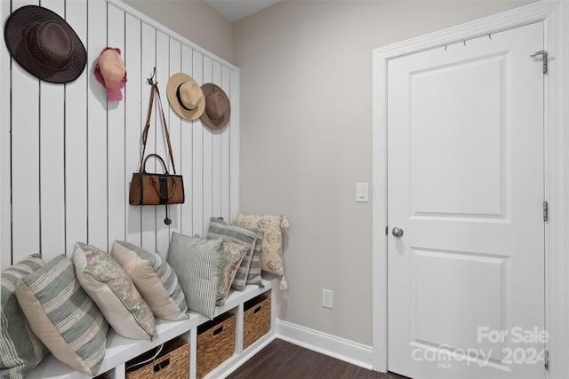 mudroom with dark wood-type flooring