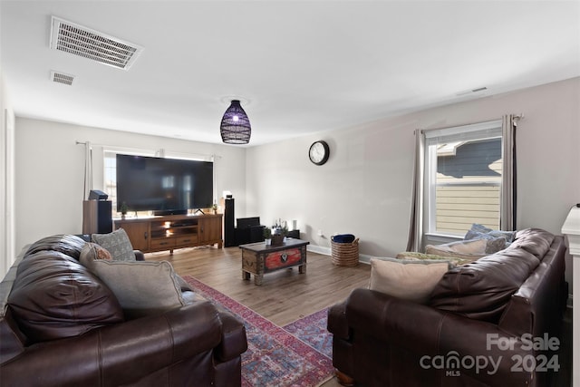 living room featuring hardwood / wood-style flooring and plenty of natural light