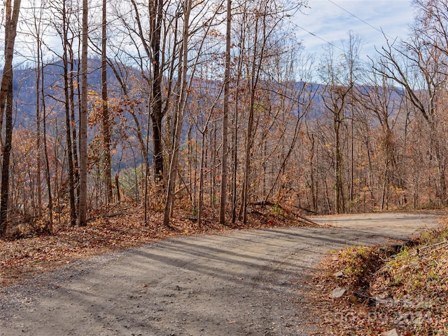 Listing photo 3 for 123 Camelfield Rd, Weaverville NC 28787