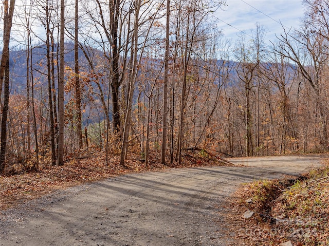 123 Camelfield Rd, Weaverville, NC 28787