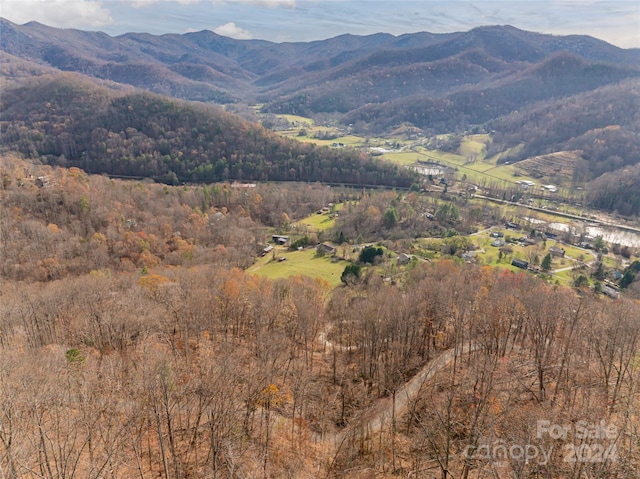 123 Camelfield Rd, Weaverville, NC 28787