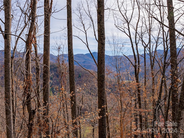 123 Camelfield Rd, Weaverville, NC 28787