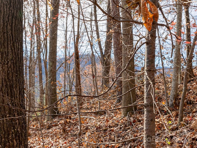 123 Camelfield Rd, Weaverville, NC 28787