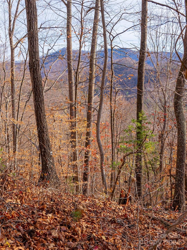 123 Camelfield Rd, Weaverville, NC 28787