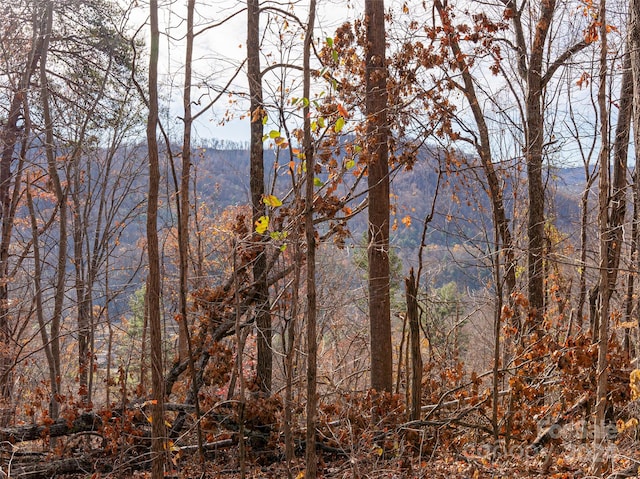 123 Camelfield Rd, Weaverville, NC 28787