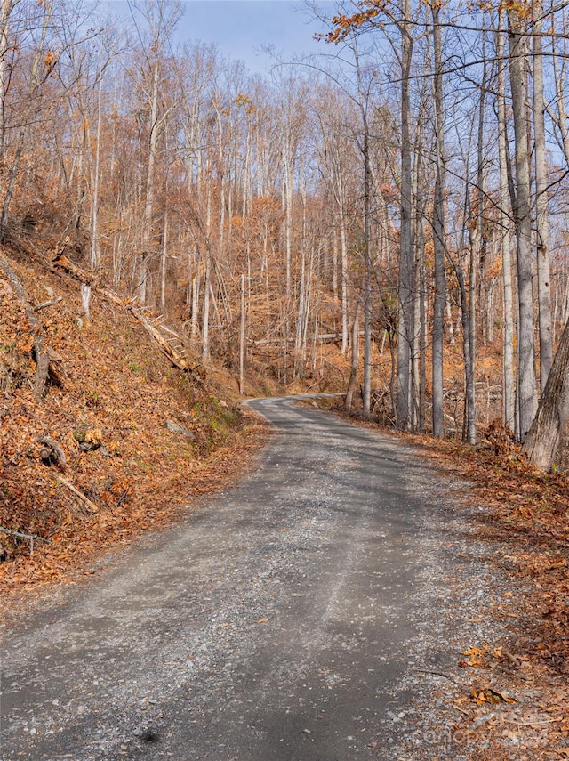 123 Camelfield Rd, Weaverville, NC 28787