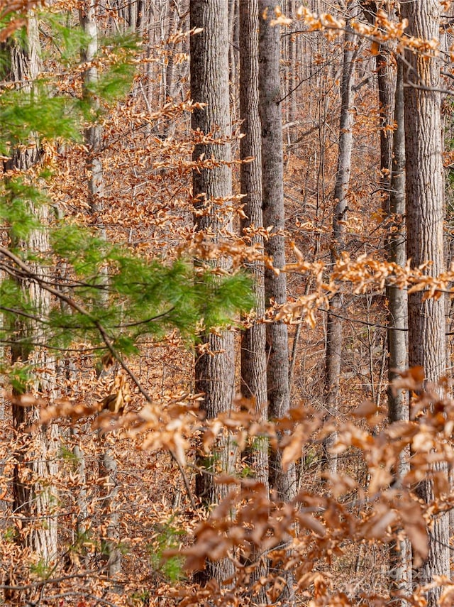 123 Camelfield Rd, Weaverville, NC 28787