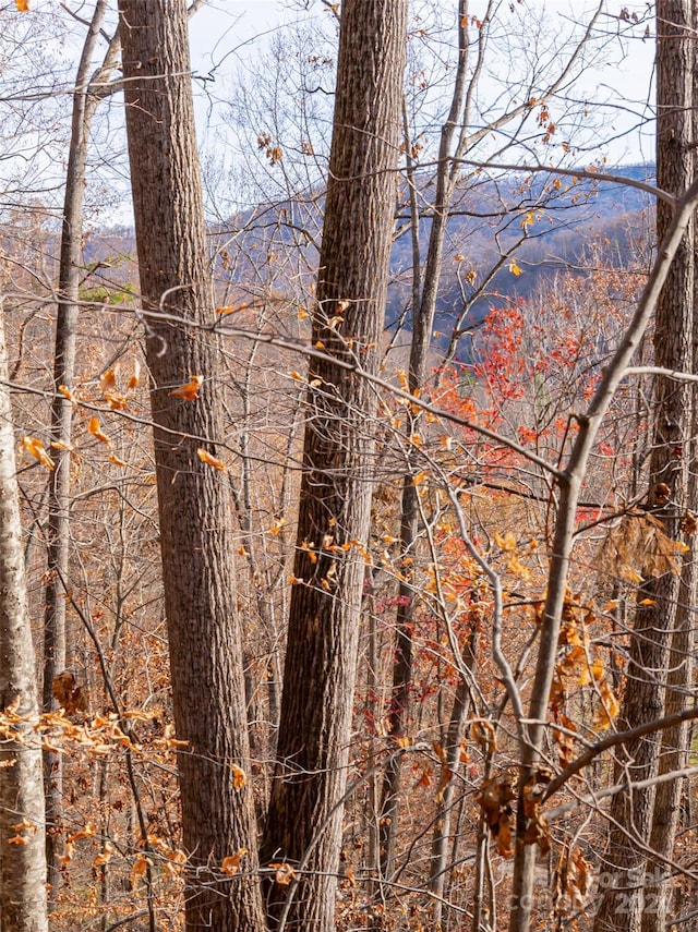 123 Camelfield Rd, Weaverville, NC 28787