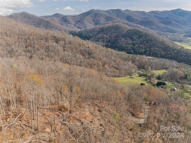 123 Camelfield Rd, Weaverville, NC 28787