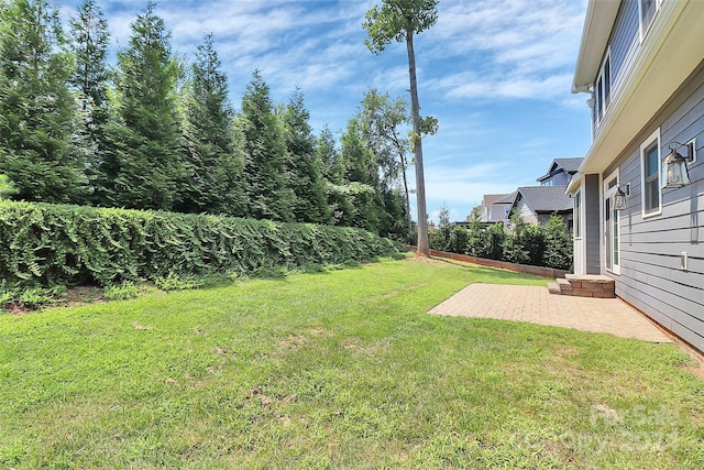 view of yard with a patio area