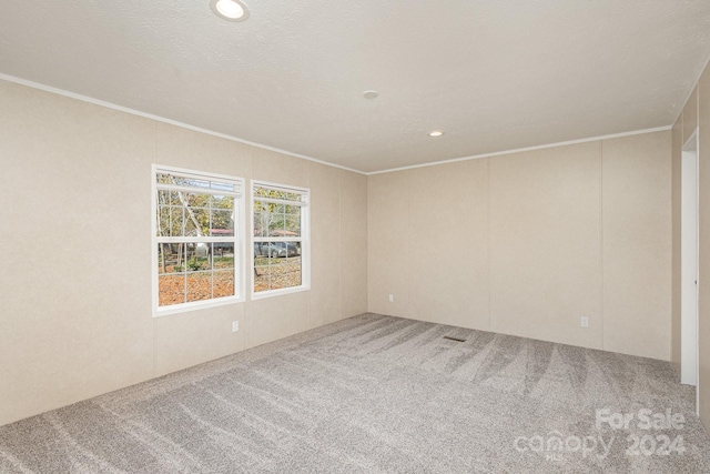 carpeted empty room featuring ornamental molding and a textured ceiling