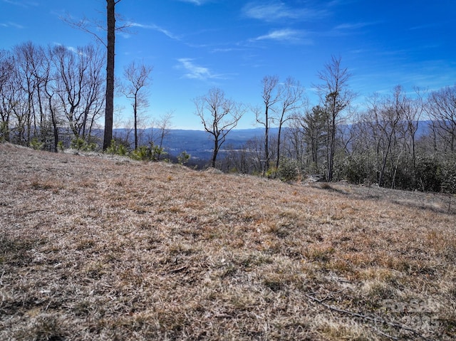 LOT48 Mountain Grove Ln, Fletcher NC, 28732 land for sale