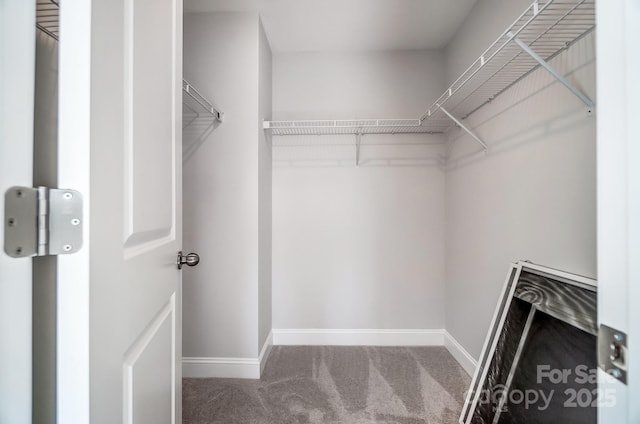 spacious closet with carpet floors