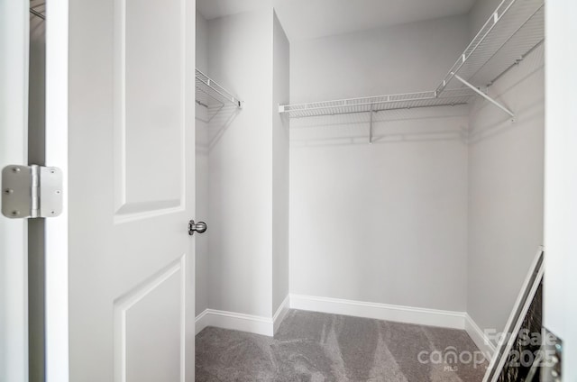 walk in closet featuring carpet flooring