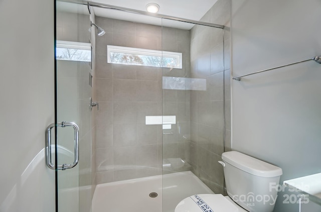 bathroom featuring a stall shower and toilet