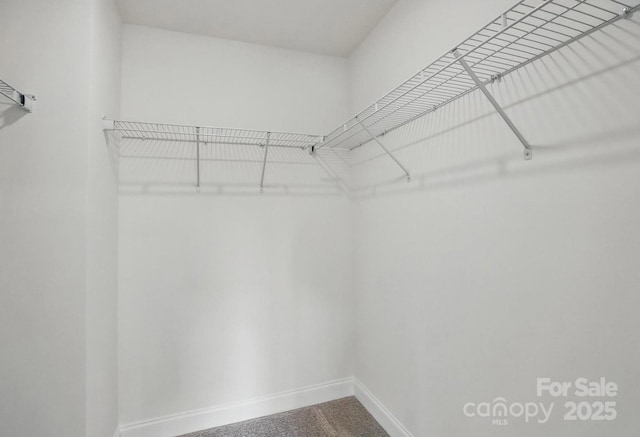 view of walk in closet