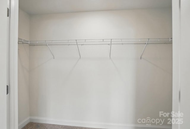 view of spacious closet
