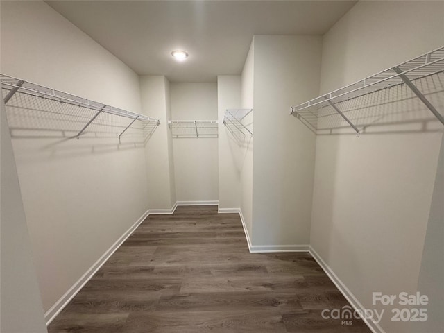 spacious closet with dark wood-type flooring