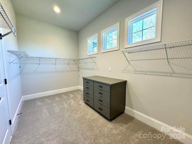 walk in closet with light carpet