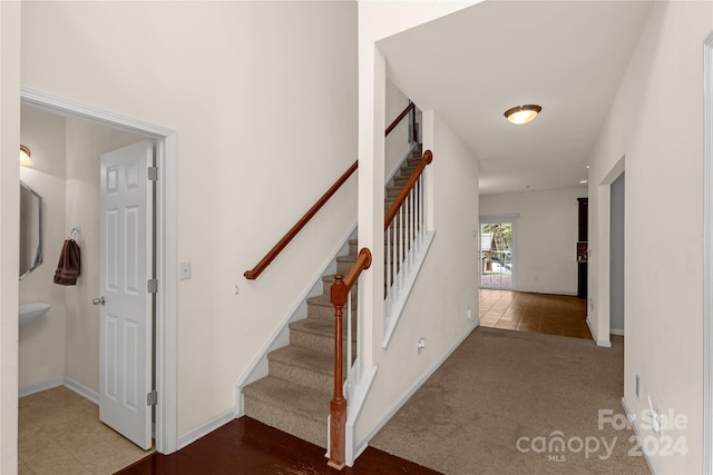 staircase featuring carpet flooring