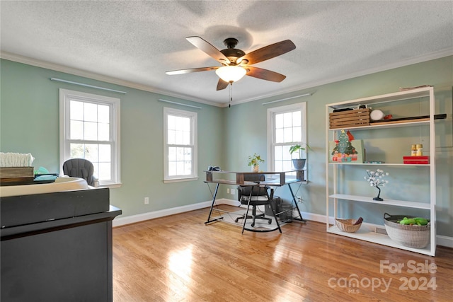 home office with a textured ceiling, light hardwood / wood-style flooring, a healthy amount of sunlight, and crown molding