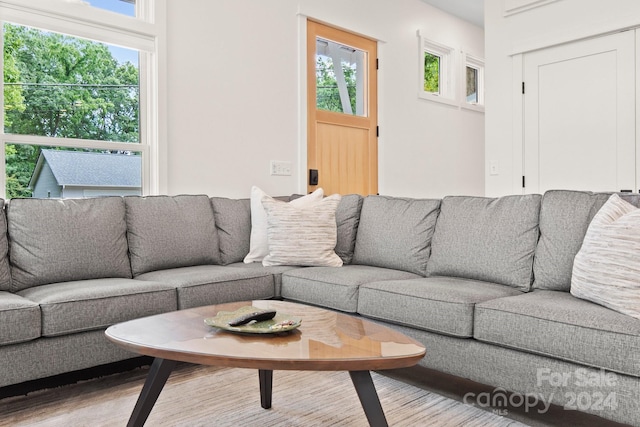 living room featuring light wood-type flooring